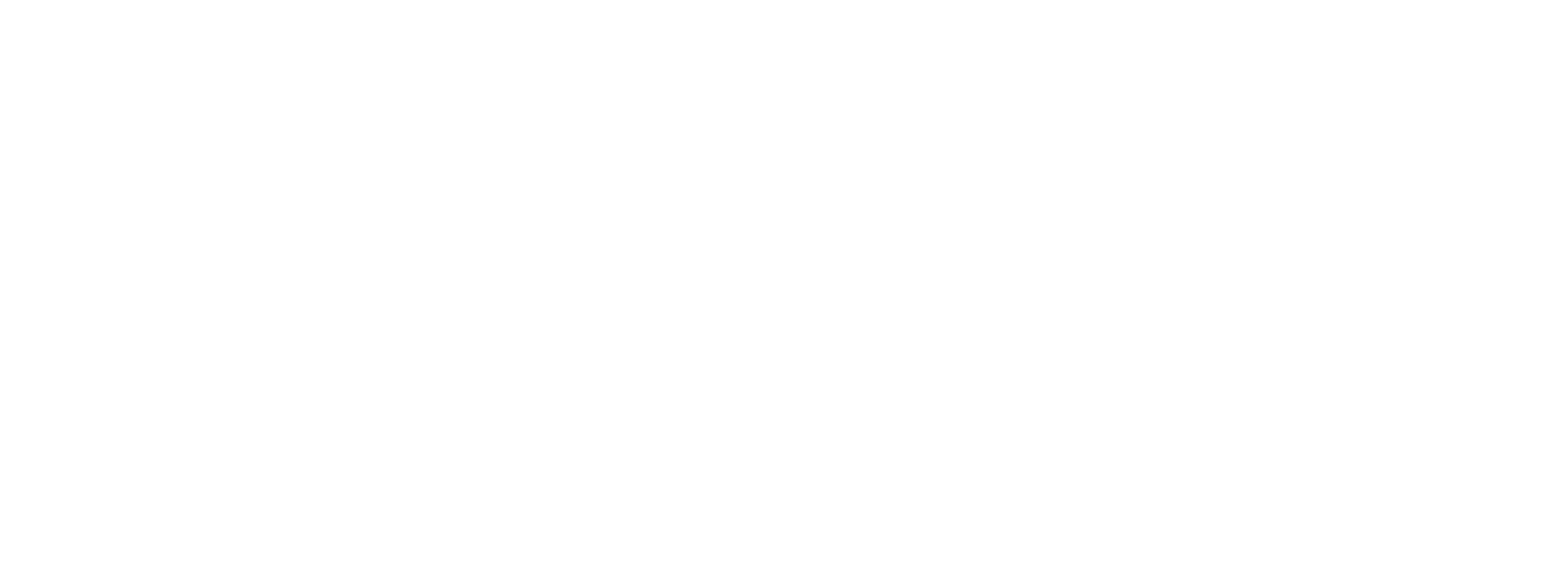 S2MI